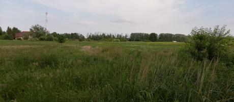 Działki zamienne za likwidację ROD pod budowę Nowej Bulońskiej