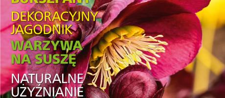 Czytajcie „działkowca”! W sprzedaży już najnowszy – styczniowy numer