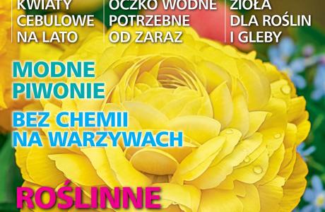 działkowiec 20.04.2021.jpg