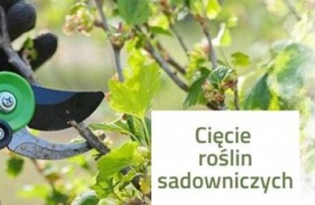 baner-do-sklepu-live-ciecie-sadowniczych-1024x244.jpg