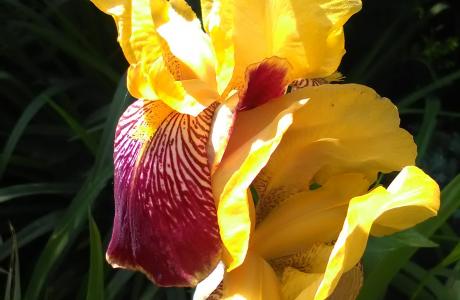 IMG_20170619_095514.jpg