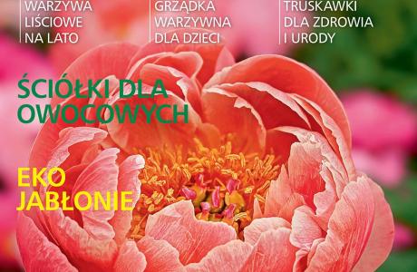 01_DZ06.jpg