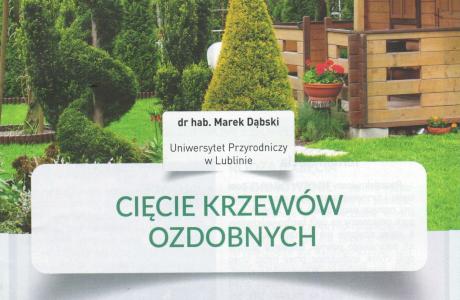 cięcie krzewów ozdobnych.jpg